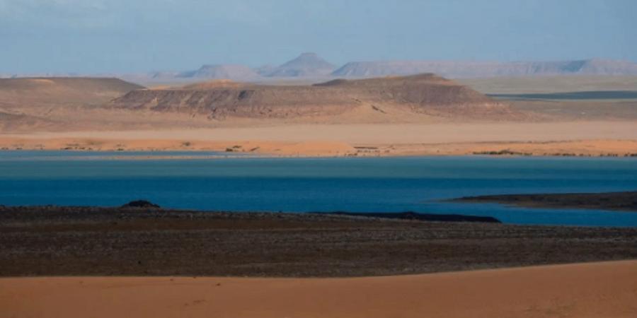 الأراضي الرطبة.. نظم بيئية حيوية بأنواع مختلفة بمحمية الملك سلمان الملكية - اخبارك الان