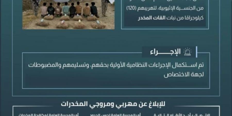 حرس الحدود بعسير يقبض على 8 مخالفين لنظام أمن الحدود لتهريبهم (120) كلجم من نبات القات المخدر - اخبارك الان