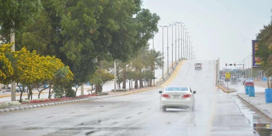 موجة برد وأمطار وثلوج على المملكة.. تعرف على تفاصيل الطقس اليوم - اخبارك الان