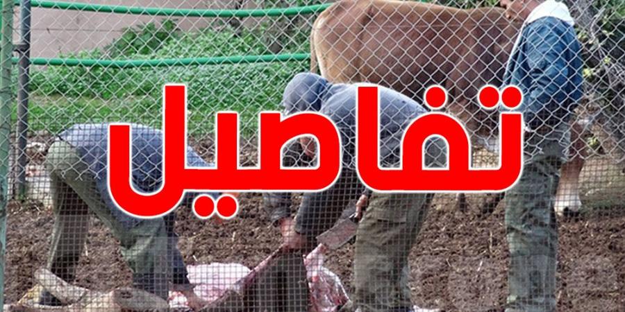 عمادة أطباء البياطرة تحذر: تزايد الذبح العشوائي يهدد صحة التونسيين - اخبارك الان