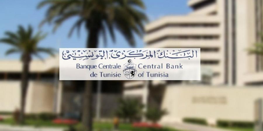 البنك المركزي ووزارة المالية يتعين عليهما إجراء تدقيق بشأن عدم تطبيق قانون التخفيض في فوائض القروض - خبير - اخبارك الان