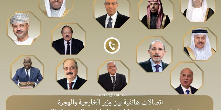 اتصالات مكثفة لوزير الخارجية والهجرة مع وزراء الخارجية العرب - اخبارك الان