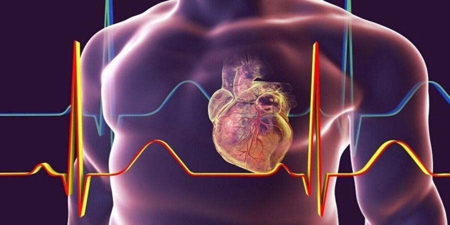 من هم الأكثر عرضة للنوبات القلبية؟ - اخبارك الان