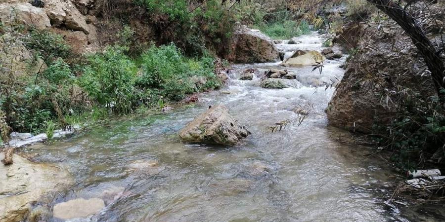 مطالب بإدراج راجب ضمن المدن السياحية العالمية - اخبارك الان