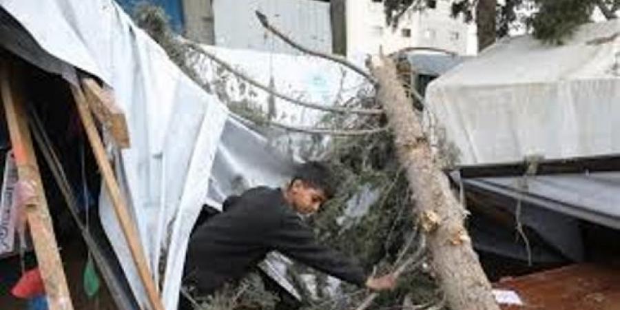 المنخفض الجوي يفاقم معاناة النازحين في قطاع غزة - اخبارك الان