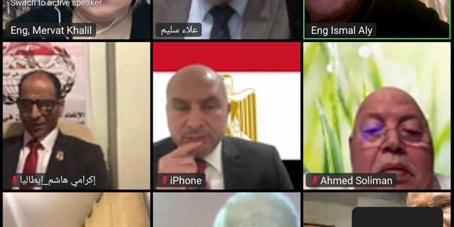 نائب التنسيقية محمود القط يشارك في لقاء الاتحاد العام للمصريين بالخارج بعنوان "لا للتهجير" - اخبارك الان