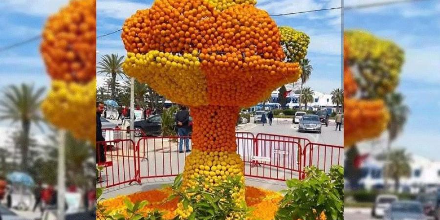 مهرجان القوارص في الحمامات: إحياء للتراث الفلاحي وتعزيز للسياحة البيئية - اخبارك الان