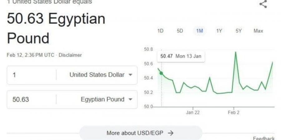 الأخضر يستقر.. سعر الدولار اليوم الأربعاء 12 فبراير 2025 في البنوك - اخبارك الان