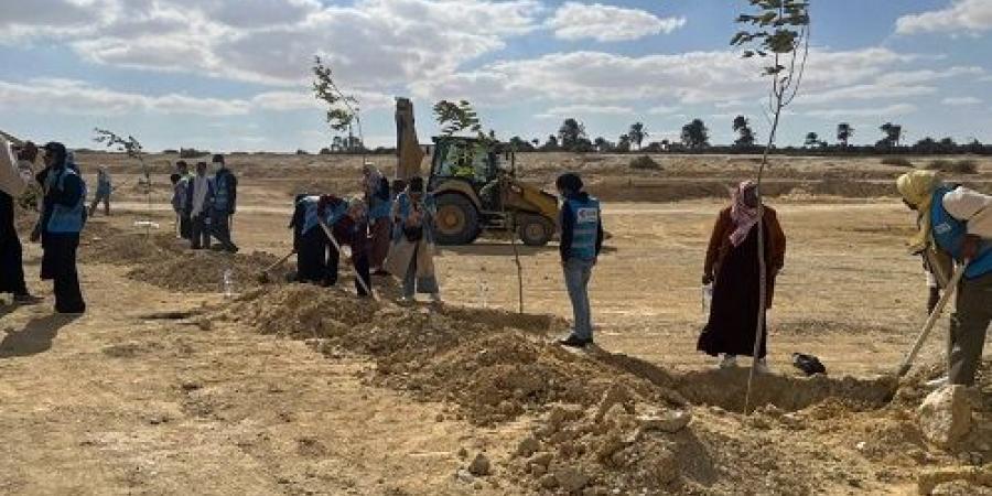 زراعة الطرق المؤدية لمداخل محميتي قارون و وادى الريان بالفيوم - اخبارك الان