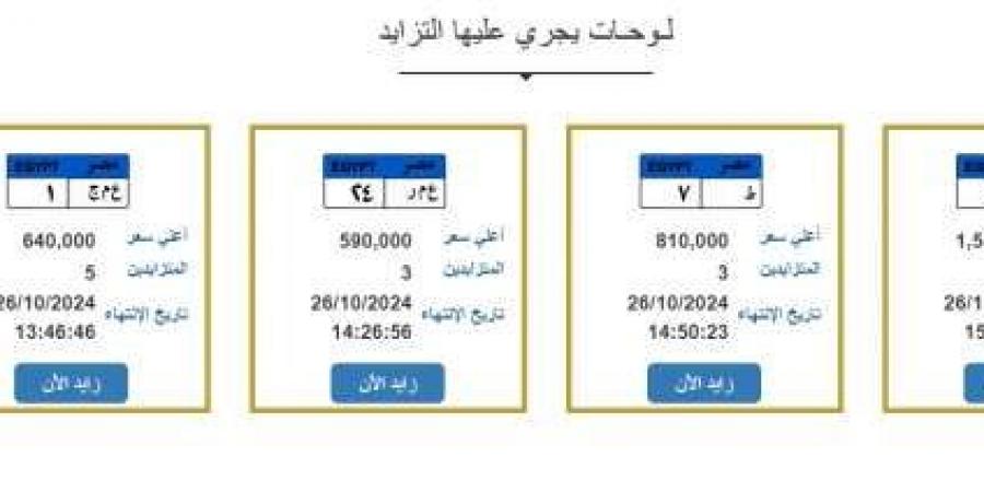 تقترب من نصف مليون جنيه.. أسعار اللوحات المميزة للسيارات في مزاد المرور - اخبارك الان