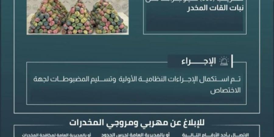 حرس الحدود بعسير يحبط تهريب (360) كيلوجرامًا من القات المخدر - اخبارك الان