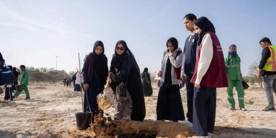 حملة تشجير في أبوظبي والبر الرئيسي - اخبارك الان