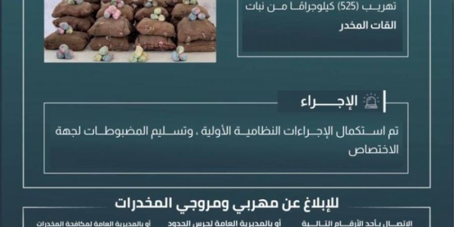 حرس الحدود بعسير يحبط تهريب (525) كيلوجرامًا من القات المخدر - اخبارك الان