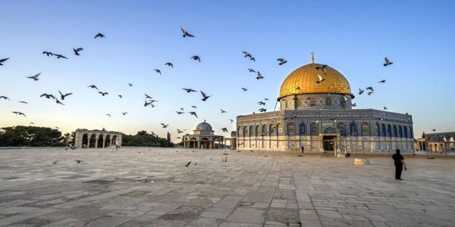 أوقاف القدس: مظلات في باحات المسجد الأقصى لحماية المصلين من البرد - اخبارك الان