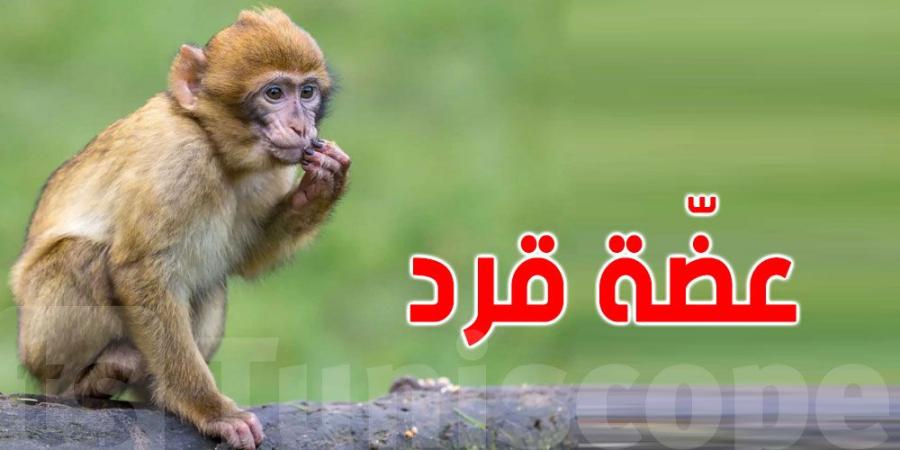 تونس: هكذا هاجم القرد طفل ال 5 سنوات - اخبارك الان